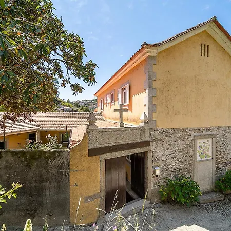 Refugio Entre O Pomar E O Rio Douro ヴィラ *