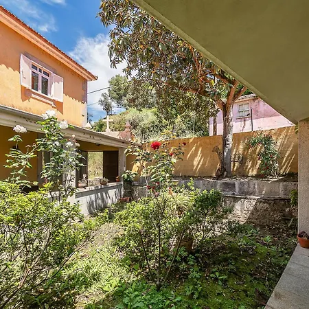 Refugio Entre O Pomar E O Rio Douro