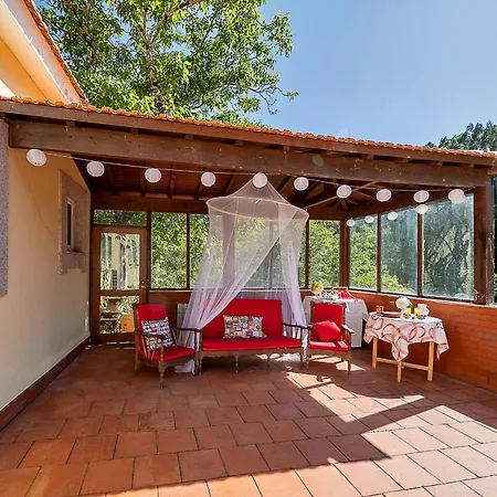 Refugio Entre O Pomar E O Rio Douro ヴィラ *