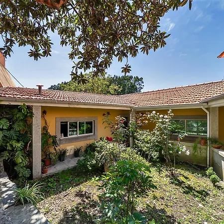 ヴィラ Refugio Entre O Pomar E O Rio Douro *