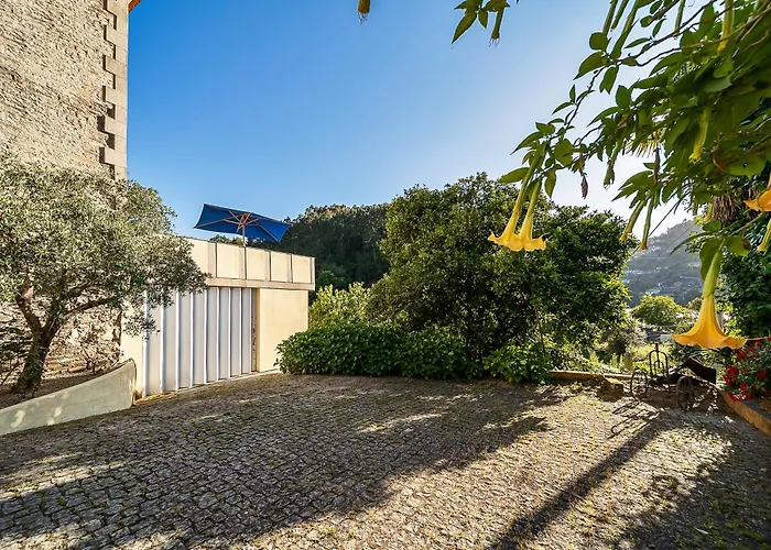 Refugio Entre O Pomar E O Rio Douro Raiva